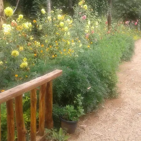 Nature'S Glow Home Stay And Restaurant Ella Exterior foto